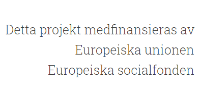 EU Socialfond Europa ESF medfinansieras